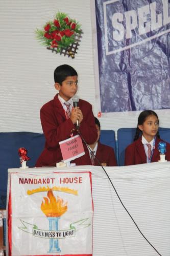 junior section (20)